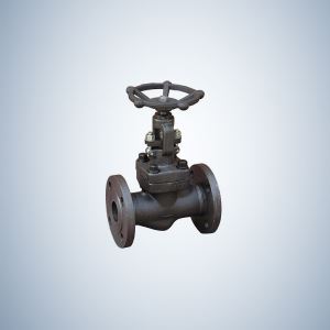 Hand Wheel Operated Bolted Bonnet Forged Globe Valve