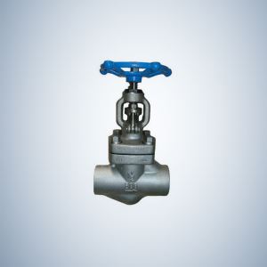 Hand Wheel Operated SW Ends Forged Globe Valve
