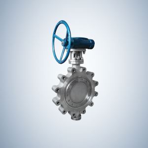 Lug Type Triple Offset Butterfly Valve