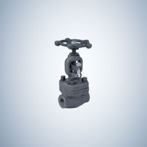 NPT Ends Forged Gate Valve