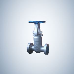 Pressure Seal Bonnet Gate Valve Flange Ends