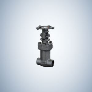 Pressure Seal Forged Gate Valve