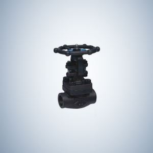 Socket Weld Ends forged Steel A105 Globe Valve