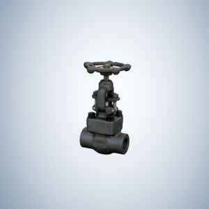 Socket Weld Forged Gate Valve