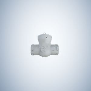 Socket Weld Pressure Sealing Check Valve