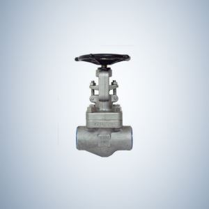 Stainless Steel Forged Globe Valve