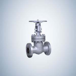 Stainless Steel 600Lb Gate Valve