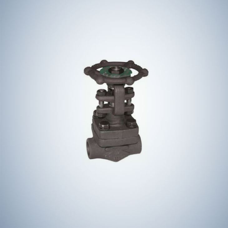 Socket Weld Bolted Bonnet Forged Globe Valve