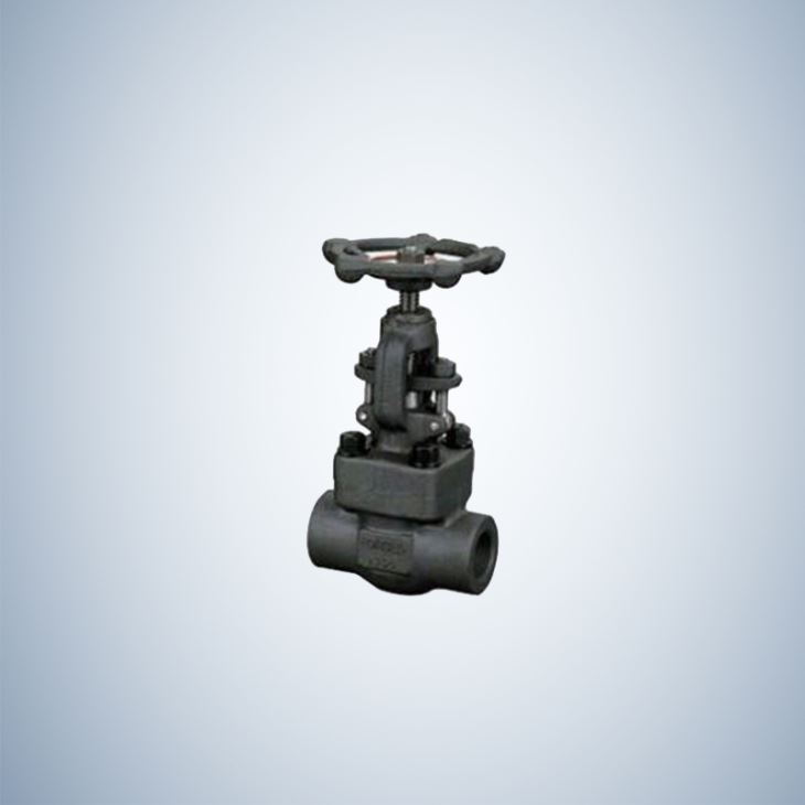 Socket Weld Forged Gate Valve