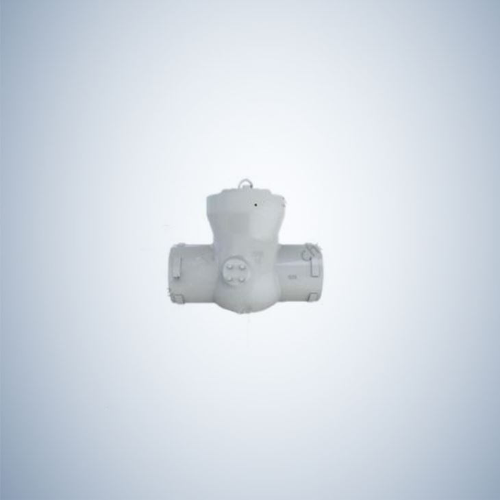 Socket Weld Pressure Sealing Check Valve