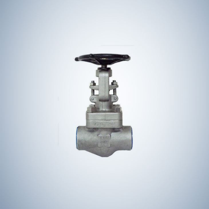 Stainless Steel Forged Globe Valve