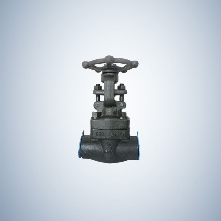 SW Ends A105 Forged Gate Valve