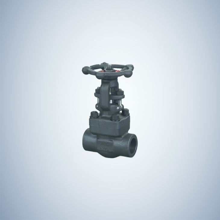 Threaded Forged Gate Valve Handle Operate