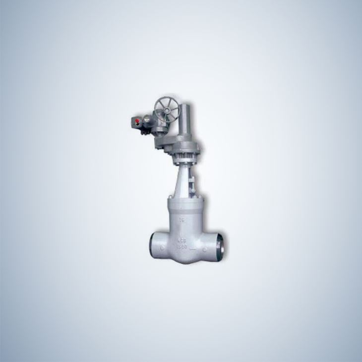 Electrical Casting Pressure Seal Gate Valve