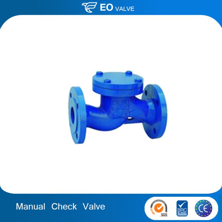 50mm Manual Cast Iron Lift Swing Check Valve