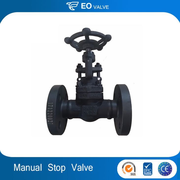 DN20 PN40 Steam Globe Valve