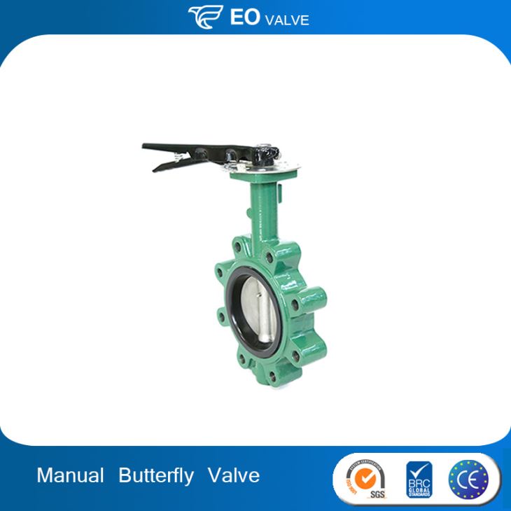 Manual PN16 Cast Iron Wafer Lug Butterfly Valve For Drain