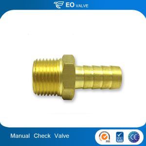 Boutique Manual Control Female Thread Brass Swing Check Valve