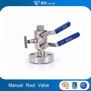 Stainless Steel Block And Bleed Valves Gauge Root Valve