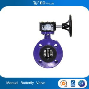 Stainless Steel Manual 4 Inch Flange Butterfly Valve