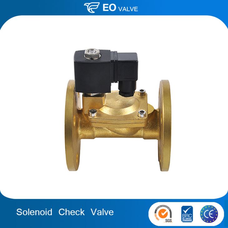 Steam Brass Flange Type Solenoid Check Valve