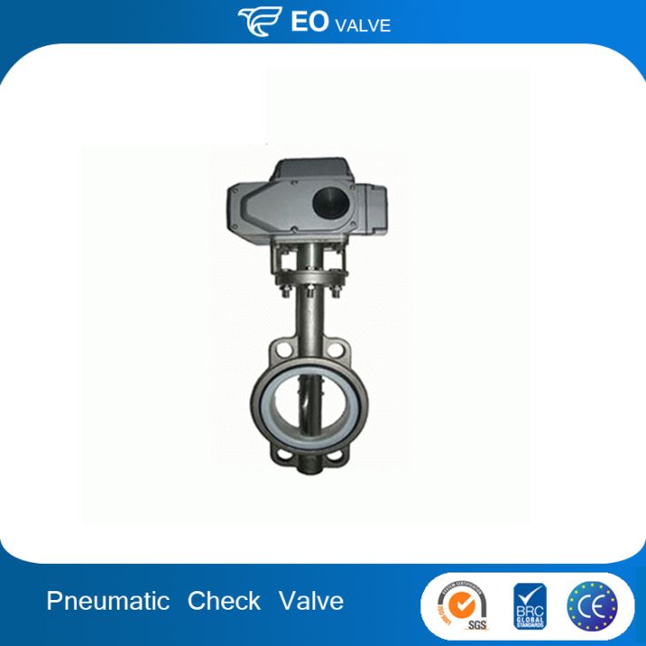 Superior Performance Industrial Swing Check Valves Pneumatic